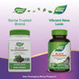 Two bottles of Natures Way Black Elderberry - For Traditional Immune Support are shown: the left in old packaging, the right in a new, colorful design. Text highlights the brand’s fresh look and reliable traditional immune support.