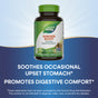 A Natures Way Ginger Root - For Traditional Digestive Support bottle appears above the text: “Soothes occasional upset stomach* Promotes traditional digestive support*.” Fine print states the FDA disclaimer about intended use.