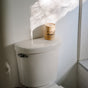 A roll of unwrapped toilet paper sits on a sunlit toilet tank in a bright, white-tiled bathroom—spotlessly clean after using Dirty Labs Probiotic Toilet Bowl Cleaner with Phytolase® bioenzyme technology.