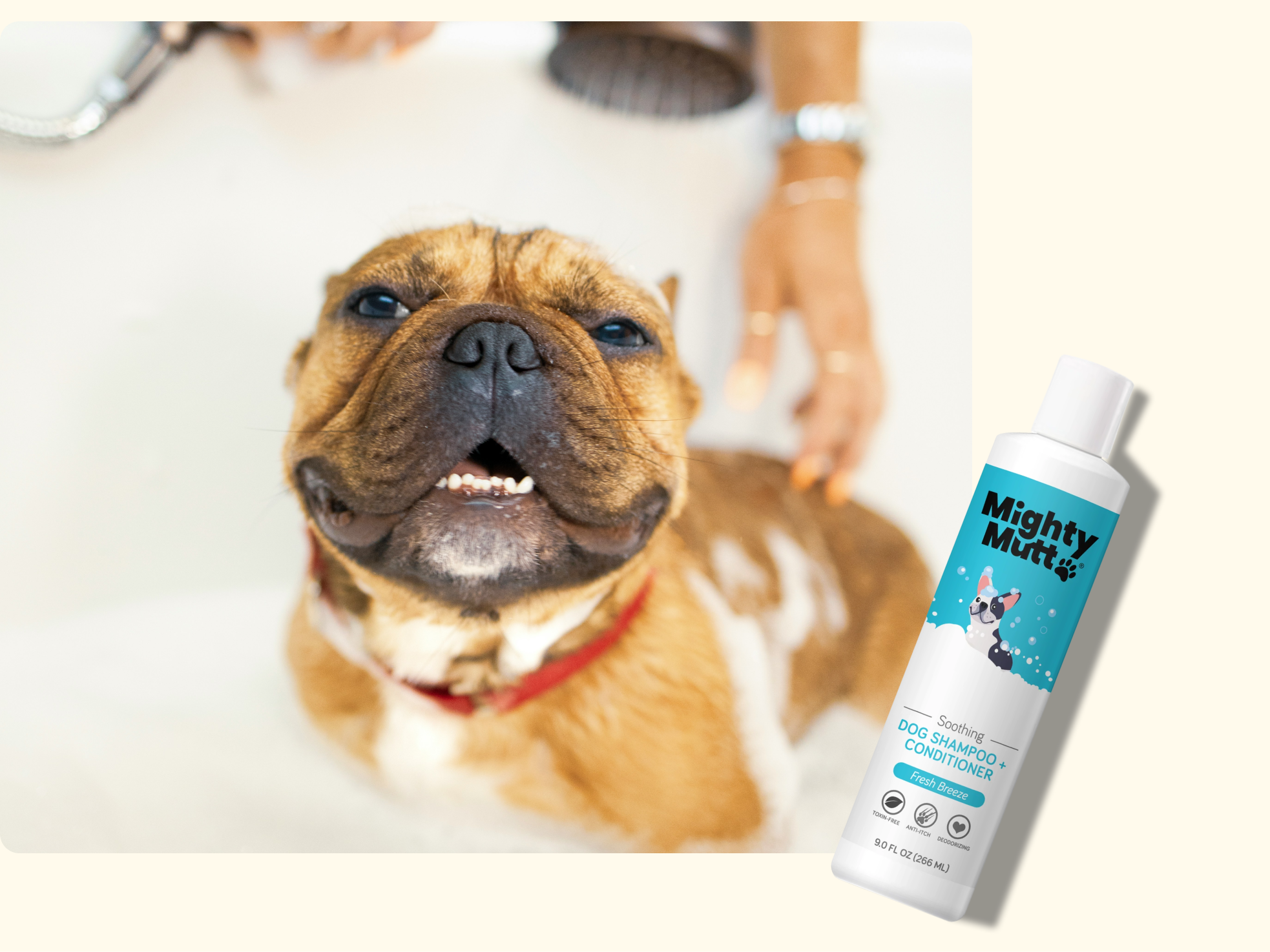 A happy brown and white dog with a red collar is being bathed in a tub, while a bottle of Mighty Mutt dog shampoo and conditioner is displayed in the foreground.