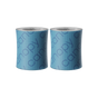 Two Canopy Bedside Humidifier Filter 2.0 rolls, featuring a blue mesh design with the brand name “canopy” in a repeating pattern, stand upright side by side against a plain background. Sold as a 2 pack.