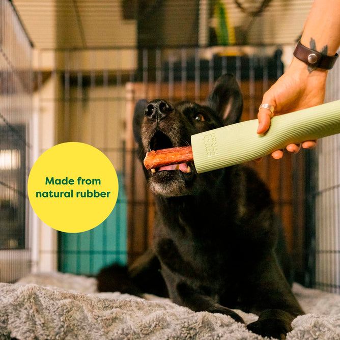 Enrichment Natural Rubber Chew Dog Toy to promote behavioral development