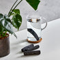 A clear glass pitcher with water and a Black + Blum Active Charcoal Water Filter sits on a wooden coaster beside a potted plant and three Black + Blum charcoal filter refills on a white surface.