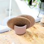 Two Scrub Be Love Coconut Coir Dish Scrubs stand upright in a small, light pink holder on a countertop near a sink and plant, showing how this 6-pack makes zero-waste cleaning both eco-friendly and stylish.