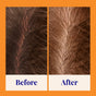 Close-up of a scalp before and after using The Powder Shampoo Strengthening & Soothing Powder Shampoo. Before shows sparse hair; after reveals fuller growth and a denser hairline. Orange border with Before and After labels.