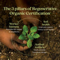 Hands gently planting a seedling in soil, surrounded by text: The 3 pillars of Regenerative Organic Certification® - Worker fairness: Provides fair wages & conditions, Soil health: Improves organic matter & quality, Animal welfare: Treats animals humanely. Embrace mental wellness with New Chapters Organic Holy Basil Booster Powder.