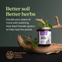 A jar of New Chapters Organic Holy Basil Booster Powder sits on a dark surface, encircled by basil leaves and flowers. The text reads, Better soil, Better herbs. This Regenerative Organic Certified powder promotes mental wellness while helping heal the planet.