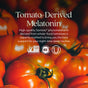 A group of ripe tomatoes with text overlay: Plant Melatonin + Tart Cherry & Ashwagandha Tablet by New Chapter. This supplement blends tomato-based melatonin with tart cherry and ashwagandha to support restful sleep. Certification logos below.