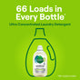 A bottle of Seventh Generation Ultra Concentrated Laundry Detergent appears on a green background with 66 Loads in Every Bottle text, offering a fresh lavender scent for every wash.