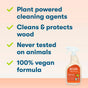 A spray bottle of ECOS Furniture Polish sits next to a list of features including plant-powered cleaning agents, wood protection, cruelty-free testing, and a 100% vegan formula.