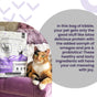 A calico cat lounges on a gray couch next to a bag of I and Love and You Naked Essentials Salmon & Trout Recipe Grain-Free Dry Cat Food, featuring packaging with a mountain and night sky design that emphasizes its grain-free formula enriched with omega fatty acids for cat health.