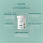 Infographic for True Grace One Daily Probiotic – For Digestive & Immune Health: 12 DNA-verified probiotic strains, prebiotic fiber, 90 billion CFU, Purity-IQ third-party tested, and delayed-release capsules support your gut and immunity.