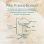 A labeled diagram shows mushroom parts: cap, gills, and stem above root-like mycelium. True Grace Lion’s Mane Capsules - Refill Pouch may support brain health with active compounds like beta-glucans.