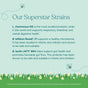 A graphic titled Our Superstar Strains features True Grace's True Littles™ Probiotic + D3 Packets for kids, highlighting immune and digestive health* benefits on a blue background with grass, flowers, bees, and FDA disclaimer text.