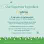 An infographic titled Our Superstar Ingredient features True Grace True Littles Daily Kids Multivitamin Gummies, showcasing 10 mg lutein + 2 mg zeaxanthin for kids’ eye and brain health, including reduced eye strain and better attention.