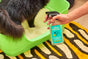 A person holds a bottle of Aunt Fannies Cleaning Vinegar For Cats near a green litter box with a black cat inside, all on a yellow and brown patterned rug.