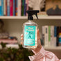A hand in a pink striped sleeve holds a bottle of Aunt Fannies All-Purpose Cleaner, featuring a turquoise label. Blurred shelves with books and decor are in the background.