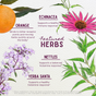 Kick-Ass Allergy by WishGarden Herbs is an illustrated guide featuring orange, echinacea, nettles, and yerba santa with text on immune support and histamine response benefits, surrounded by botanical drawings on a light background.