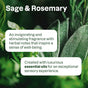Close-up of sage and rosemary leaves with text: Sage & Rosemary. ATTITUDE super leaves 2in1 Shampoo & Body Wash features herbal essential oils for an invigorating sensory experience, available in a refillable aluminum bottle.