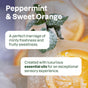 Close-up of sugared mint leaves and orange slices with text: Peppermint & Sweet Orange. ATTITUDE super leaves essential oils Shampoo Hydrating blends natural ingredients and luxurious oils for an exceptional sensory experience.