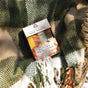 A box of Pacha Soap Co. Bar Soap Set from the Autumn Heirlooms Collection rests on a green and cream plaid blanket in a woven basket, with sunlight casting soft shadows.