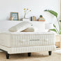 A modern bedroom features an Avocado Green Mattress Luxury Organic Mattress topped with pillows, white bedding, a white lamp, plants, books, and decor on a wooden nightstand and shelf.