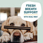 A yellow lab balances a dental chew on its nose. Text: “Fresh breath support with real mint—try our Shameless Pets Banana Bone-anza Dental Stick, the grain-free treat dogs love.”.