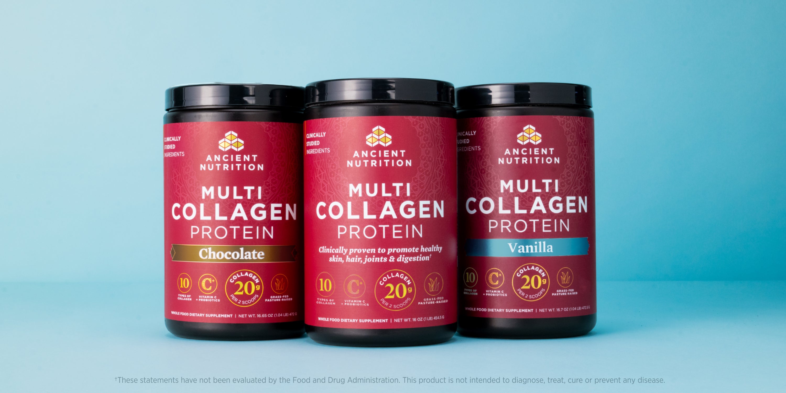 Three containers of Ancient Nutrition Multi Collagen Protein powder—two chocolate flavor and one vanilla—are arranged side by side against a light blue background.