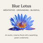 A vibrant blue lotus flower with a yellow-orange center appears on a light background. Text reads “Blue Lotus—Meditative, Grounding, Blissful.” Beneath: “An exotic, creamy floral with green notes in Little Seed Farm’s aluminum-free Deodorant Creams.”.