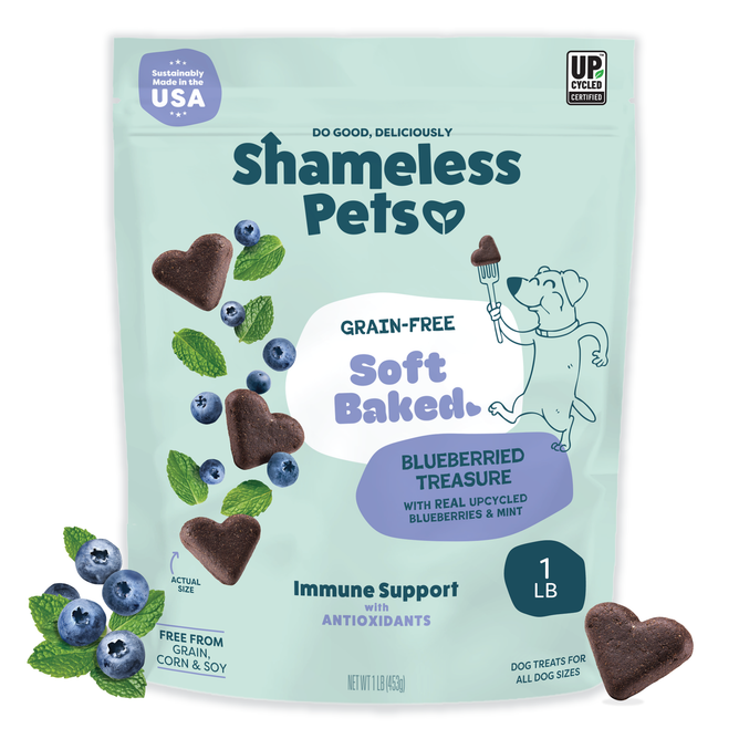 A bag of Shameless Pets Blueberried Treasure Soft-Baked Dog Treats shows treat pieces, blueberries, mint leaves, and a cartoon dog holding a spoon. The grain-free packaging notes these antioxidant treats are made in the USA.