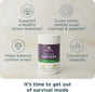 A bottle of Ancient Nutrition Active Peptides Cortisol Capsule is displayed alongside icons and text highlighting its benefits: supports a healthy stress response, helps curb cravings, promotes balanced cortisol levels, and comes in convenient capsule form. Beneath the image, the text reads: It's time to move beyond survival mode and experience real stress relief.