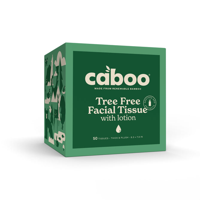The Caboo Lotion Facial Tissue Cube (50 sheets) is a green, unscented, 3-ply tissue box made from renewable bamboo. Featuring tree illustrations on the side, this eco-friendly product offers extra softness and contains 50 tissues per box.