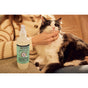A person in a tan sweater pets a black and white cat sitting on their lap. In the foreground is a bottle of Mrs. Meyer’s Clean Day Cat Deodorizing Spritz, placed on the armrest of a chair.