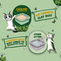 Illustration comparing Catalyst Pet Upcycled Natural Pine Clumping Cat Litter (unscented, sustainable, no harmful dust) with a silica dust litter linked to respiratory issues. Two playful cats and green leaves decorate the background.