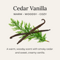 Illustration of two vanilla beans crossed over cedar branches. Text: Cedar Vanilla. Warm • Woodsy • Cozy. Little Seed Farm Deodorant Creams offer an aluminum-free, warm scent blending smoky cedar and sweet vanilla.