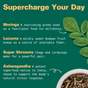The graphic Supercharge Your Day features Kuli Kuli Foods’ Organic Moringa Green Smoothie + Protein, highlighting moringa greens, lucuma fruit, chaga and cordyceps mushrooms, and ashwagandha root with brief health benefit summaries.