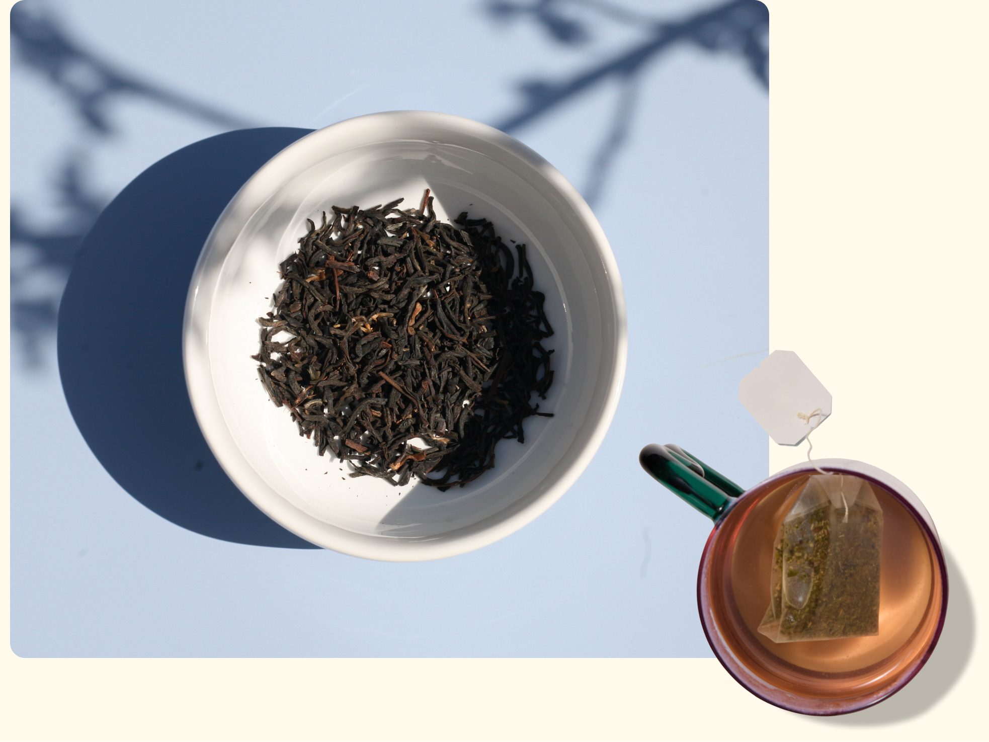 A white bowl filled with loose black tea sits on a light blue surface, casting a shadow. Nearby, a brown mug contains a tea bag, viewed from above. A faint branch shadow appears in the background.