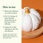 The Plant Therapy Pumpkin Passive Diffuser features a white, pumpkin-shaped design with a gold stem, elegantly displayed on a wooden base—perfect for adding autumn charm to your home décor. Instructions guide you through using the essential oil diffuser and include cleaning tips with a cotton cloth, water, vinegar, and gentle rubbing.