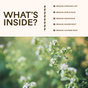 Oregano Daily Wellness Capsules by Wooden Spoon Herbs feature organic oregano leaf, garlic bulb, onion bulb, ginger root, and cayenne root for immune support—shown beside blurred flowering oregano in a green field.