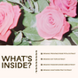 Close-up of pink roses with green leaves above text listing ingredients: organic Provence rose petal, oat tops, passionflower herb, and hawthorn fruit extracts. Headline reads WHATS INSIDE?—Rose-Colored Glasses Tincture by Wooden Spoon Herbs for mood and stress support.