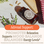 A brown bottle labeled Wooden Spoon Herbs Stress Savior Capsules rests on a picnic blanket with capsules nearby. Text: “Promotes relaxation, supports mood balance, and balances energy levels for stress relief.”.