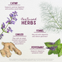Illustration of four herbs—catnip, fennel, ginger, and peppermint—from WishGarden Herbs’ Digestive Rescue - GI Normalizer, showing how they calm upset stomachs, relieve gas, and support healthy digestion.
