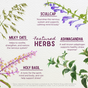 Illustration of four herbs—scullcap, milky oats, ashwagandha, and holy basil—showcasing their adaptogenic benefits for stress relief and nervous system support, surrounding the text Featured Herbs from WishGarden Herbs Deep Stress formula.
