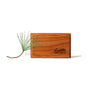 A small pine twig lies beside a rectangular wooden block engraved with drift, evoking the Drift Wood Car Air Freshener Refill by Drift, which delivers premium scents for your space, all set against a white background.