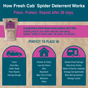 Infographic explains how to use Earthkind’s Fresh Cab® Spider Deterrent: Place pouches in vehicles, kitchens, or storage areas; replace every 30 days. Plant-based, non-toxic scent safely deters spiders with no-kill pest control.