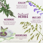 Emotional Ally by WishGarden Herbs features illustrations of four calming herbs—scullcap, milky oats, motherwort, and passionflower—each labeled with its name and stress-relief benefits in handwritten-style text.