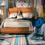 A man in blue loungewear sits on the floor next to a bed with an Avocado Green Mattress Eco Organic Mattress. A large black-and-white dog sits on the bed, and the room features colorful decor and plenty of natural sunlight.