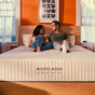 A couple sits on an Avocado Green Mattress Eco Organic Mattress in a bright bedroom, smiling at each other. The room has orange walls, large windows with curtains, and artwork above the bed.