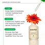 A dropper and a bottle labeled Everist EverBoost Multi-Peptide Scalp Serum with an orange flower. Text highlights this serum for instant hydration, a balanced scalp in 1 month, and fuller-looking hair in 4–6 months.