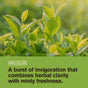 Close-up of vibrant green leaves in sunlight, with text: Smells like herbal clarity and minty freshness—powered by clean ingredients in Every Man Jack 2-in-1 Shampoo and Conditioner for Men.